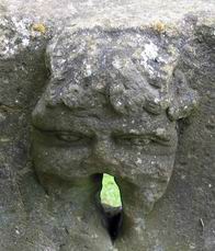 Sotham Holy Well Spout